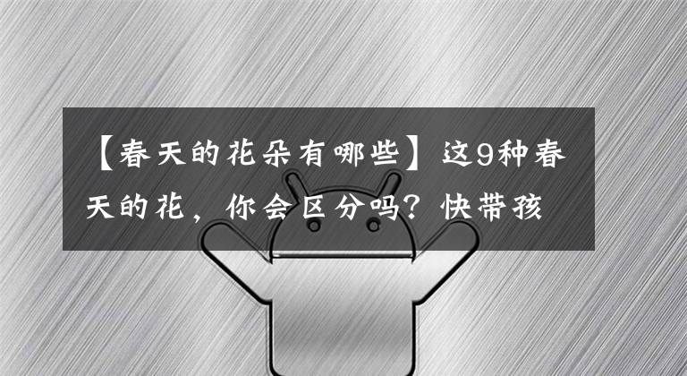 【春天的花朵有哪些】这9种春天的花，你会区分吗？快带孩子认识一下吧