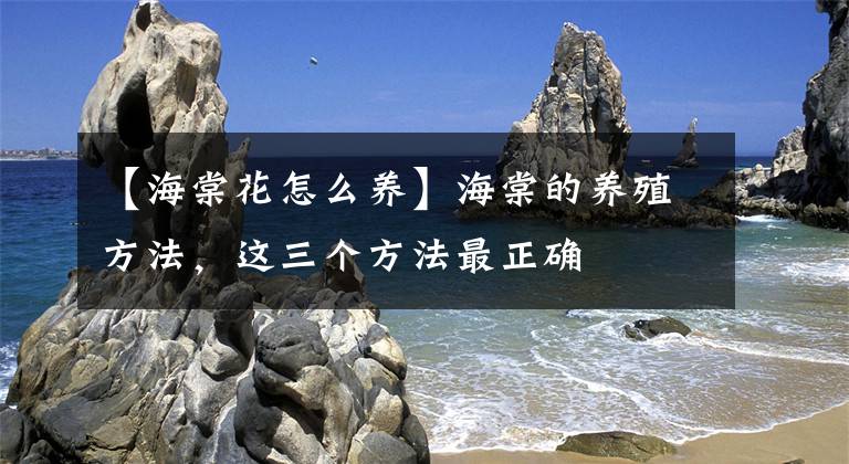 【海棠花怎么养】海棠的养殖方法，这三个方法最正确