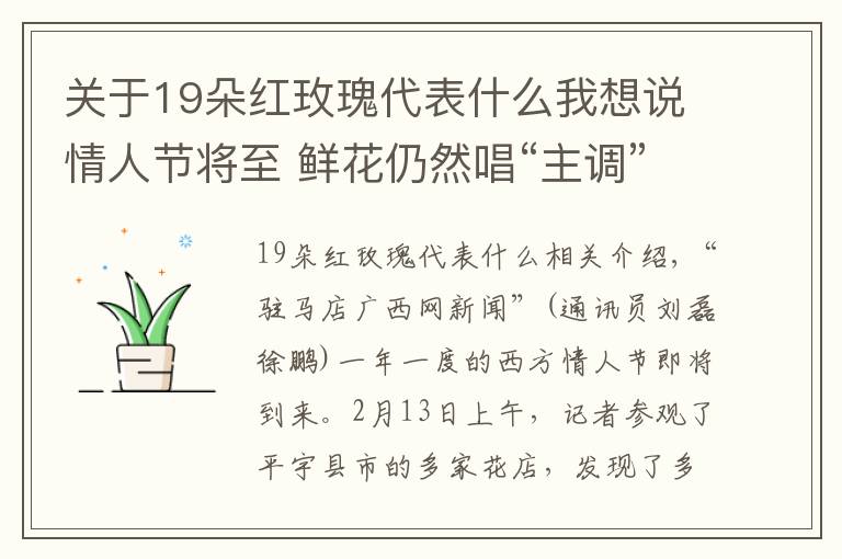 关于19朵红玫瑰代表什么我想说情人节将至 鲜花仍然唱“主调”