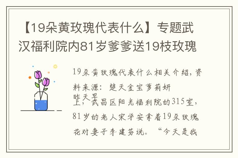 【19朵黄玫瑰代表什么】专题武汉福利院内81岁爹爹送19枝玫瑰给爱妻