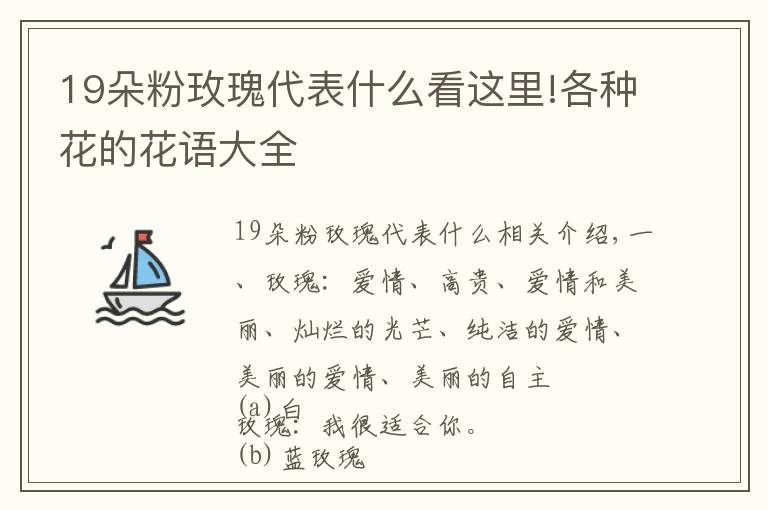 19朵粉玫瑰代表什么看这里!各种花的花语大全