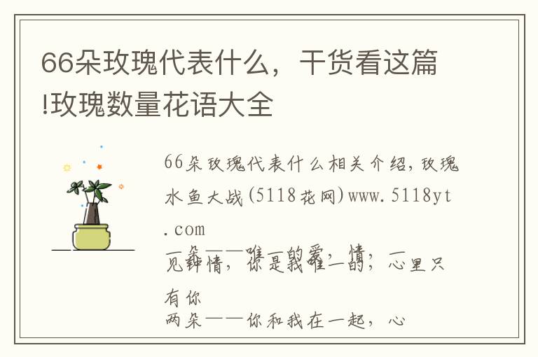 66朵玫瑰代表什么，干货看这篇!玫瑰数量花语大全