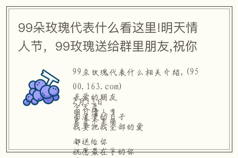 99朵玫瑰代表什么看这里!明天情人节，99玫瑰送给群里朋友,祝你们情人节快乐,永远健康幸福