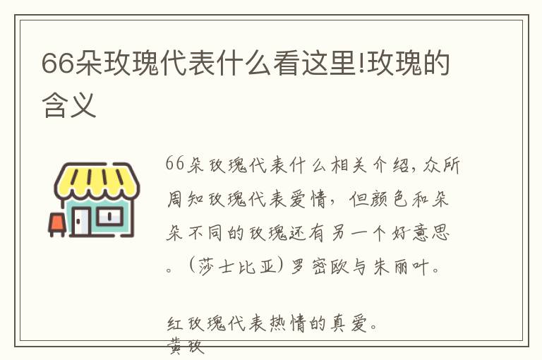 66朵玫瑰代表什么看这里!玫瑰的含义