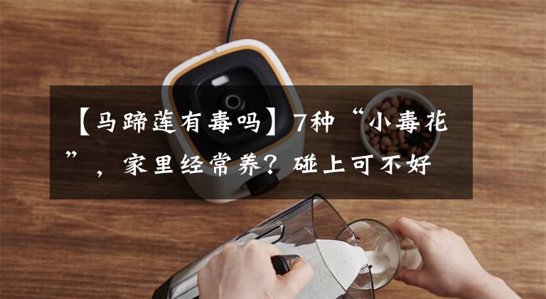 【马蹄莲有毒吗】7种“小毒花”，家里经常养？碰上可不好，一定要认清“真面目”