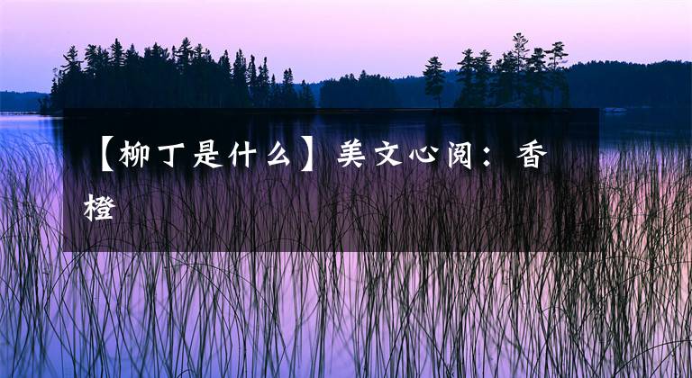 【柳丁是什么】美文心阅：香橙