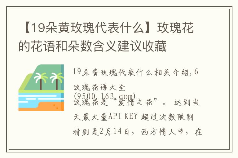 【19朵黄玫瑰代表什么】玫瑰花的花语和朵数含义建议收藏