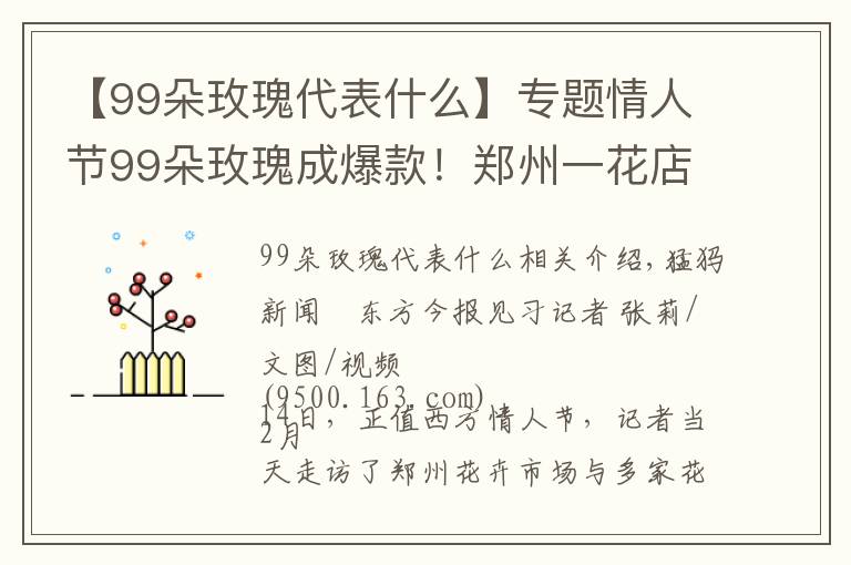 【99朵玫瑰代表什么】专题情人节99朵玫瑰成爆款！郑州一花店老板两天未合眼，全家齐上阵