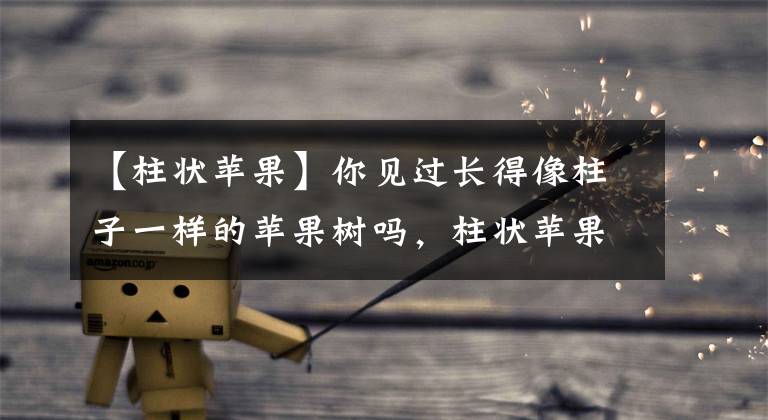 【柱状苹果】你见过长得像柱子一样的苹果树吗，柱状苹果树型的形成因何？