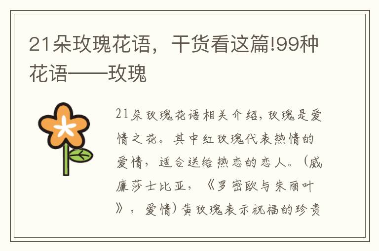 21朵玫瑰花语，干货看这篇!99种花语——玫瑰