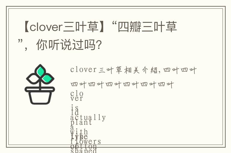 【clover三叶草】“四瓣三叶草”，你听说过吗？