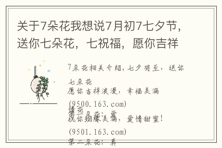 关于7朵花我想说7月初7七夕节，送你七朵花，七祝福，愿你吉祥幸福！