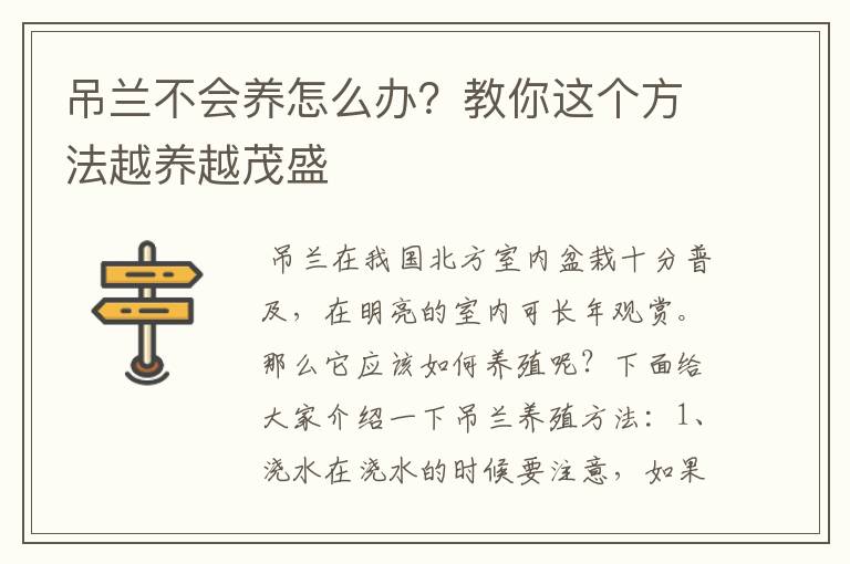 吊兰不会养怎么办？教你这个方法越养越茂盛