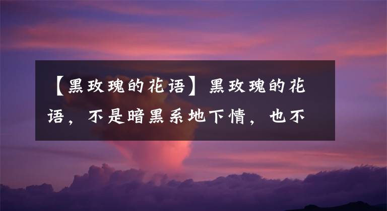 【黑玫瑰的花语】黑玫瑰的花语，不是暗黑系地下情，也不是虚伪的爱，而且温柔真心