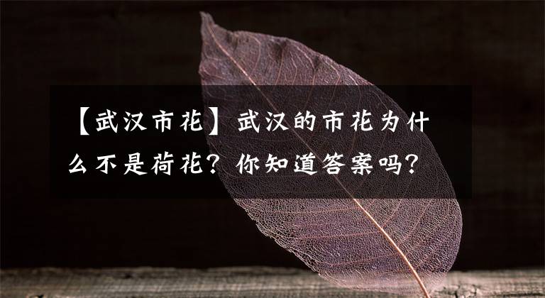 【武汉市花】武汉的市花为什么不是荷花？你知道答案吗？