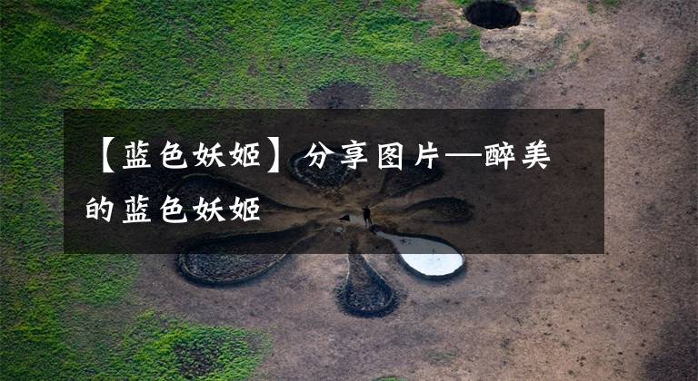 【蓝色妖姬】分享图片—醉美的蓝色妖姬