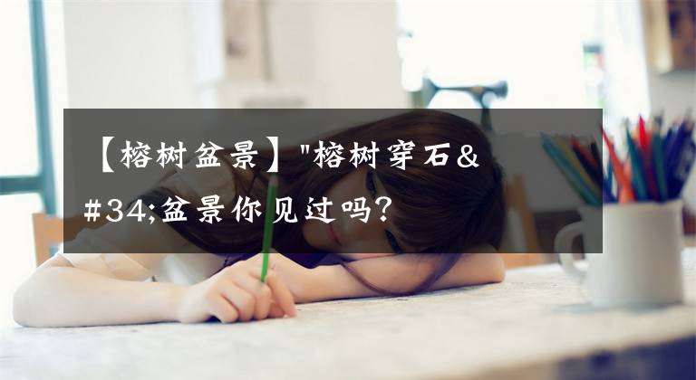 【榕树盆景】"榕树穿石"盆景你见过吗？