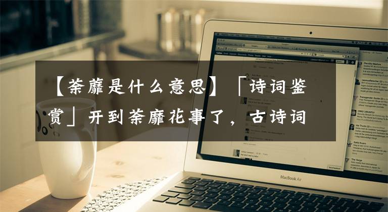 【荼蘼是什么意思】「诗词鉴赏」开到荼靡花事了，古诗词里的荼蘼花，花白如雪