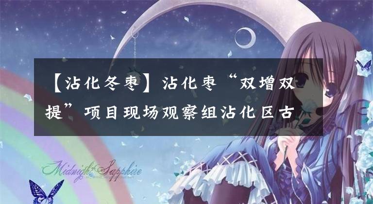 【沾化冬枣】沾化枣“双增双提”项目现场观察组沾化区古城观察