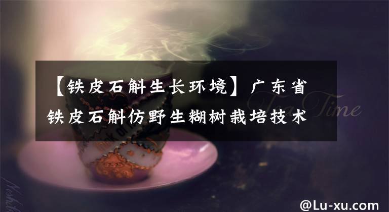 【铁皮石斛生长环境】广东省铁皮石斛仿野生糊树栽培技术