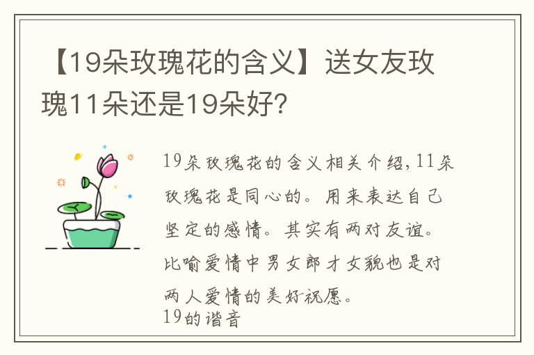 【19朵玫瑰花的含义】送女友玫瑰11朵还是19朵好？