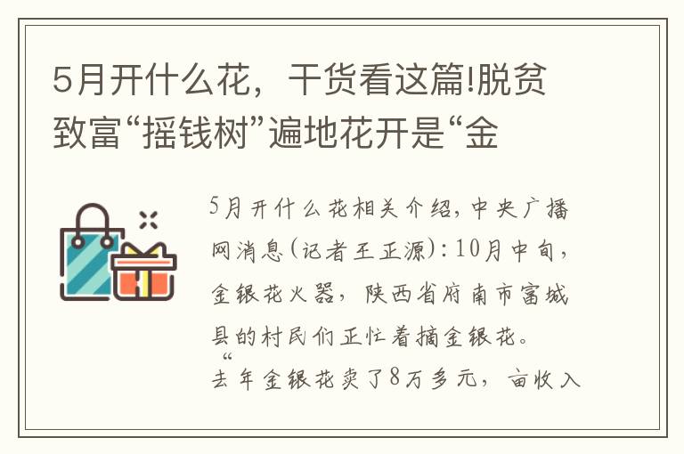 5月开什么花，干货看这篇!脱贫致富“摇钱树”遍地花开是“金银”