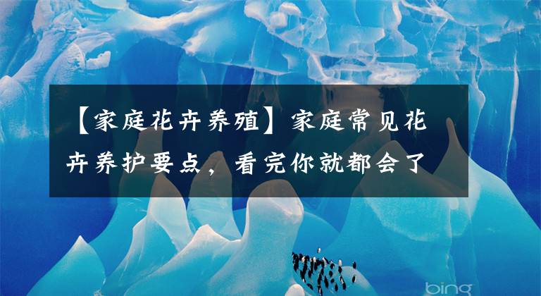 【家庭花卉养殖】家庭常见花卉养护要点，看完你就都会了（上）