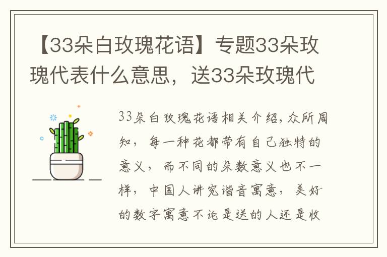 【33朵白玫瑰花语】专题33朵玫瑰代表什么意思，送33朵玫瑰代表什么（生生世世的爱）