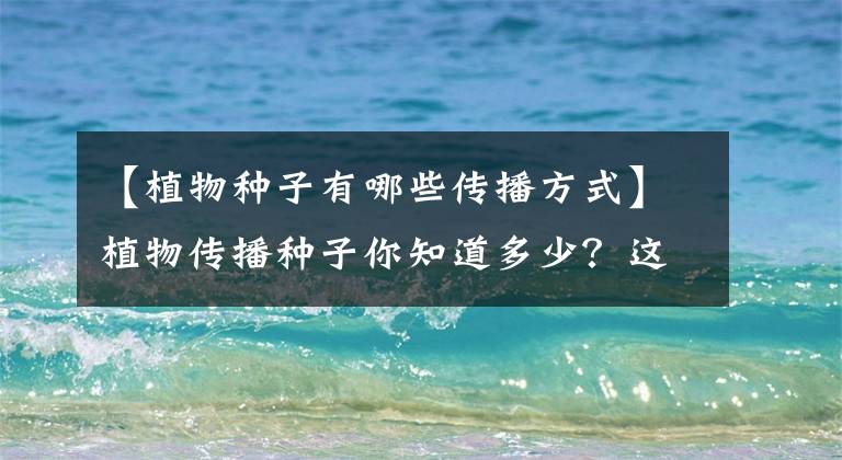 【植物种子有哪些传播方式】植物传播种子你知道多少？这三种方式很神奇，赶紧收藏