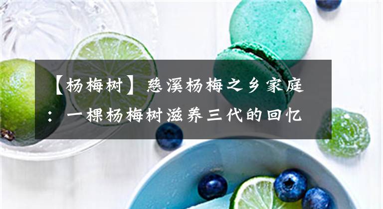 【杨梅树】慈溪杨梅之乡家庭：一棵杨梅树滋养三代的回忆