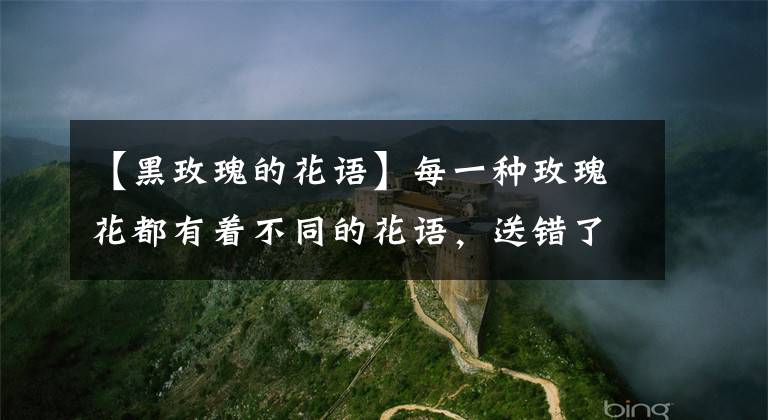 【黑玫瑰的花语】每一种玫瑰花都有着不同的花语，送错了可是会闹笑话的