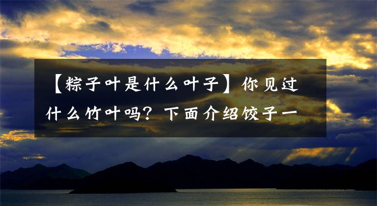 【粽子叶是什么叶子】你见过什么竹叶吗？下面介绍饺子一般可以使用的15种树叶