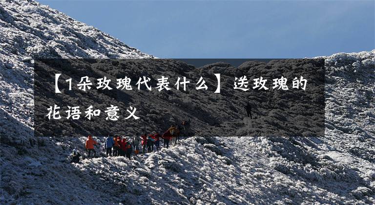 【1朵玫瑰代表什么】送玫瑰的花语和意义