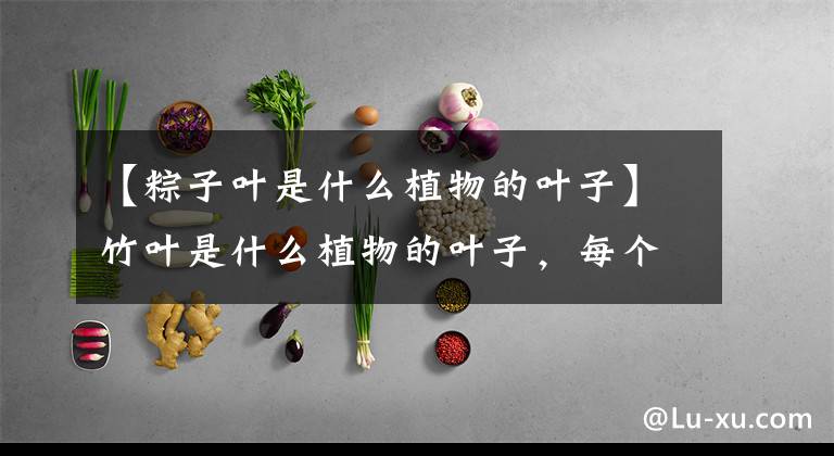 【粽子叶是什么植物的叶子】竹叶是什么植物的叶子，每个地区的植物都不一样。