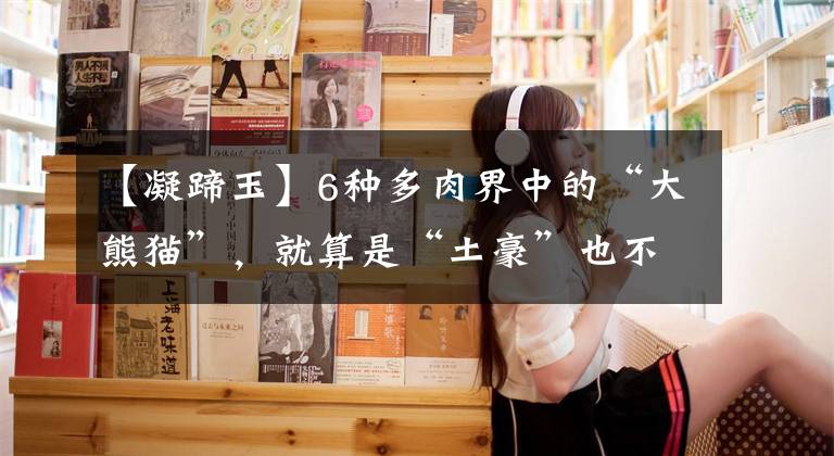 【凝蹄玉】6种多肉界中的“大熊猫”，就算是“土豪”也不能养，交易就违法