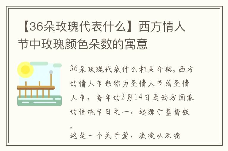 【36朵玫瑰代表什么】西方情人节中玫瑰颜色朵数的寓意
