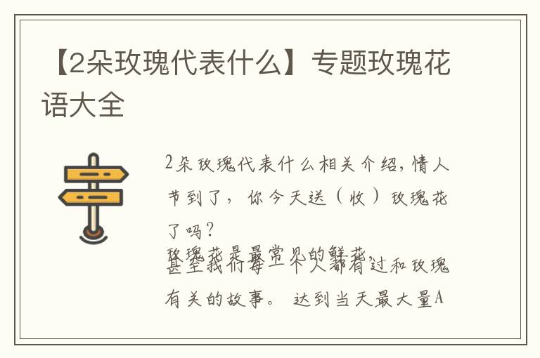 【2朵玫瑰代表什么】专题玫瑰花语大全