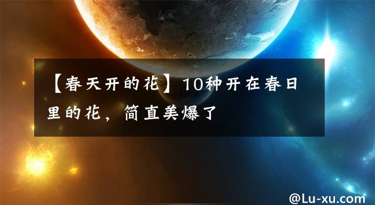 【春天开的花】10种开在春日里的花，简直美爆了