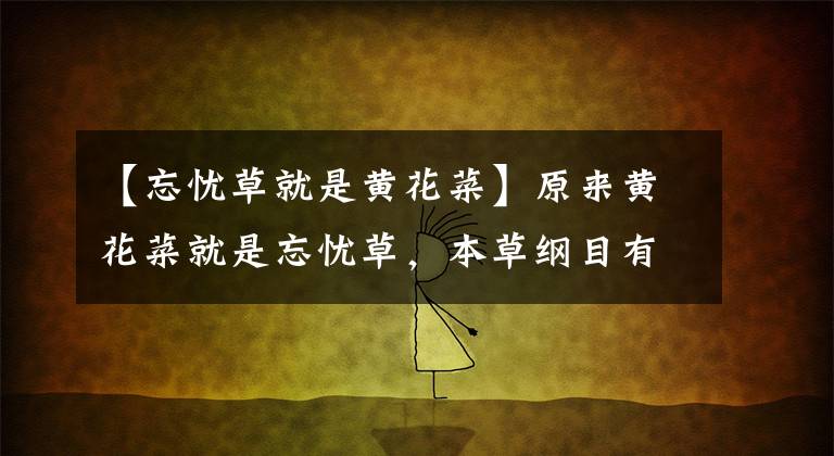 【忘忧草就是黄花菜】原来黄花菜就是忘忧草，本草纲目有记载，宁夏特产有营养