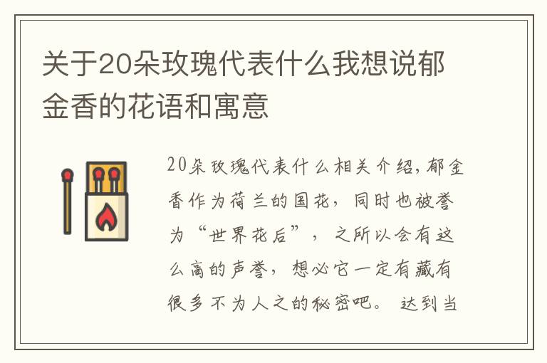 关于20朵玫瑰代表什么我想说郁金香的花语和寓意