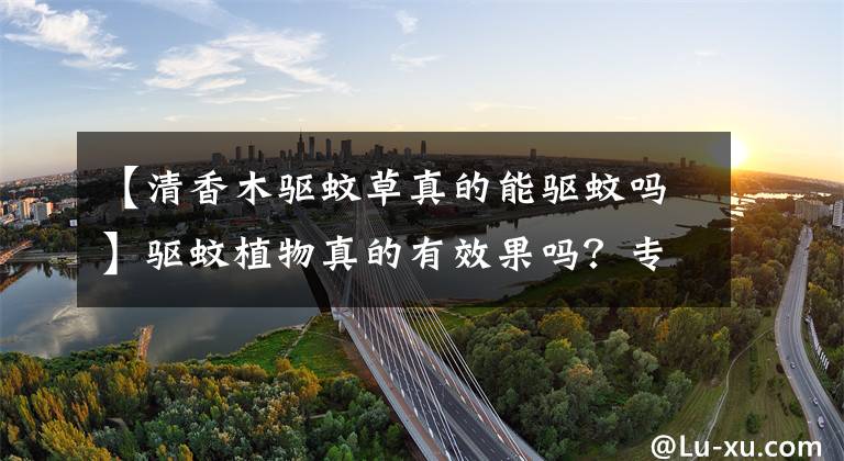 【清香木驱蚊草真的能驱蚊吗】驱蚊植物真的有效果吗？专家提醒：这类人群使用一定要小心