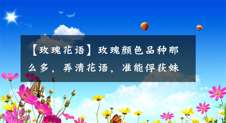【玫瑰花语】玫瑰颜色品种那么多，弄清花语，准能俘获妹子心