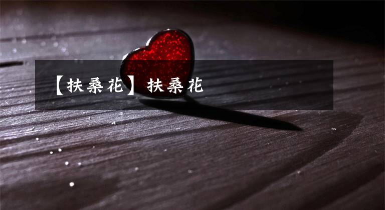 【扶桑花】扶桑花