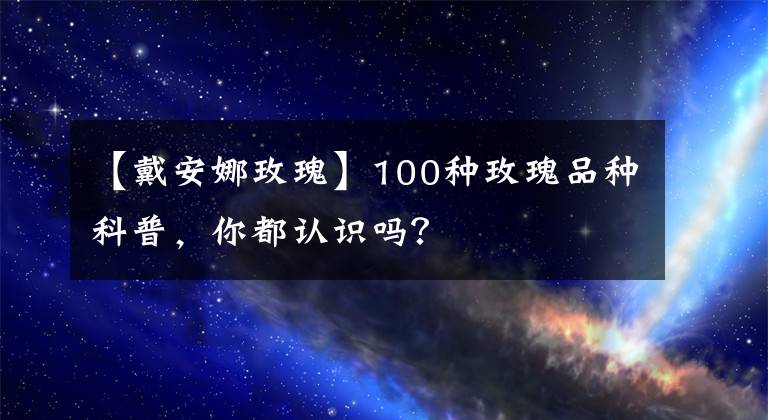 【戴安娜玫瑰】100种玫瑰品种科普，你都认识吗？