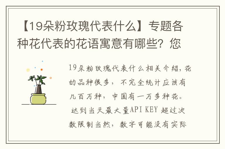 【19朵粉玫瑰代表什么】专题各种花代表的花语寓意有哪些？您知道多少呢