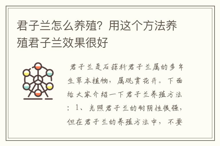 君子兰怎么养殖？用这个方法养殖君子兰效果很好