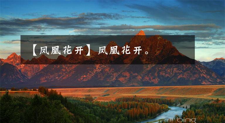 【凤凰花开】凤凰花开。
