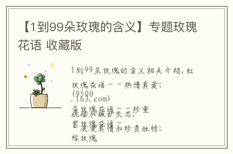 【1到99朵玫瑰的含义】专题玫瑰花语 收藏版