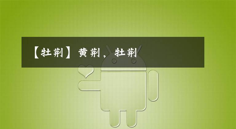 【牡荆】黄荆，牡荆
