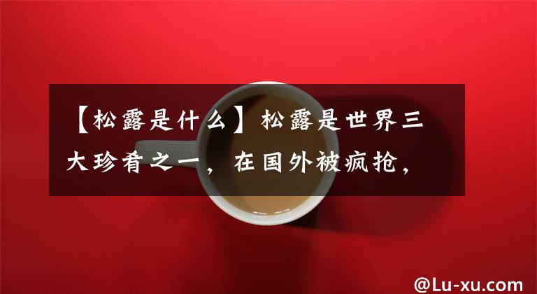 【松露是什么】松露是世界三大珍肴之一，在国外被疯抢，为何在我国却是猪饲料？